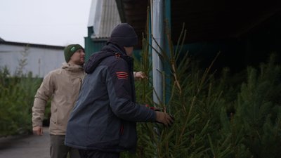 Де на Сумщині придбати ялинку та які ціни Де на Сумщині придбати ялинку та які ціни