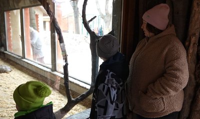 Хурма, морква і апельсини: чим та як годують черепах у черкаському зоопарку Хурма, морква і апельсини: чим та як годують черепах у черкаському зоопарку