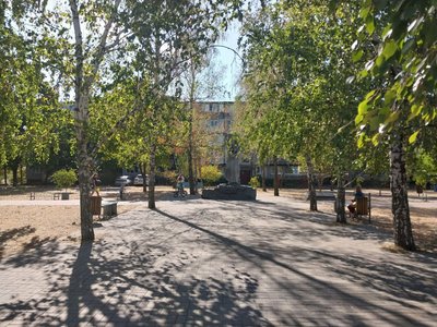 Жителі Сум скаржаться на відсутність догляду за зеленими насадженнями Жителі Сум скаржаться на відсутність догляду за зеленими насадженнями