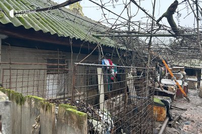 "Стоїть їдкий трупний запах": в Ізмаїлі з "чорного" розплідника вилучили десятки тварин