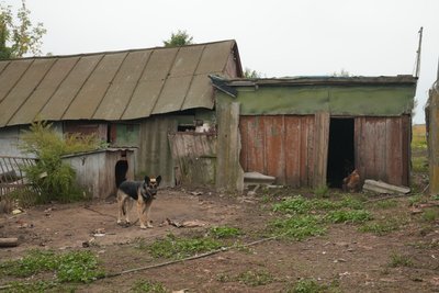 Як живе майже спорожніле село Ясенок на Сумщині під обстрілами Як живе майже спорожніле село Ясенок на Сумщині під обстрілами