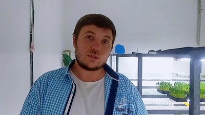Переселенець з Маріуполя Олександр вирощує мікрозелені у Славуті Переселенець з Маріуполя Олександр вирощує мікрозелені у Славуті