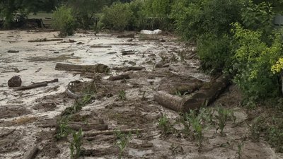 Змиті городи, замулені подвір'я та знищений врожай: село Залужжя на Хмельниччині опинилося під водою через зливу Змиті городи, замулені подвір'я та знищений врожай: село Залужжя на Хмельниччині опинилося під водою через зливу