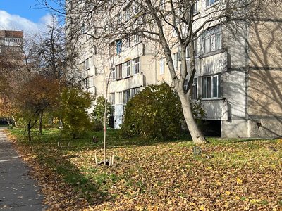 "Повирізали, то треба понасаджувати": у Вінниці триває озеленення міста "Повирізали, то треба понасаджувати": у Вінниці триває озеленення міста