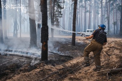 Пожежу у парку "Святі Гори" остаточно ліквідували: скільки гектарів лісу вигоріли Пожежу у парку "Святі Гори" остаточно ліквідували: скільки гектарів лісу вигоріли