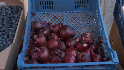 Чому дорожчає цибуля? Чому дорожчає цибуля?