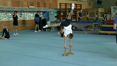 Вінницькі акробати здобули дві ліцензії на Всесвітні Ігри 2025 Вінницькі акробати здобули дві ліцензії на Всесвітні Ігри 2025