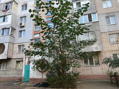 У Миколаєві обирають сквер для перейменування на честь озеленювача Вадима Сердцева