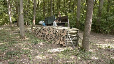 Заготівля дров на Вінниччині: які породи та за скільки можна придбати у лісництві Заготівля дров на Вінниччині: які породи та за скільки можна придбати у лісництві