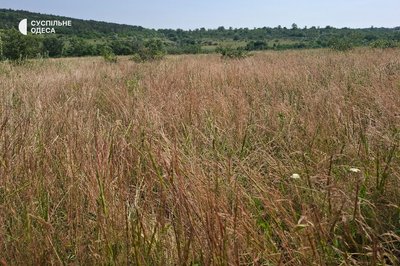 Кулани, олені та байбаки — нові жителі заповідника "Асканія-Нова" на Одещині