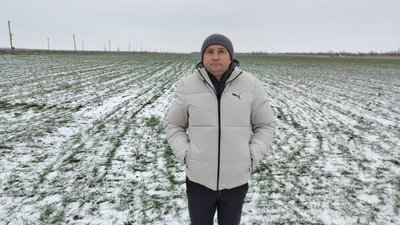 погода