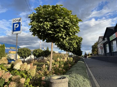 Тиждень без води: у місті на Буковині зникає вода через падіння рівня Дністра Тиждень без води: у місті на Буковині зникає вода через падіння рівня Дністра