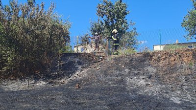 Вогонь дійшов до городів, почали горіти кущі та дерева. На Кіровоградщині побільшало пожеж сухої трави