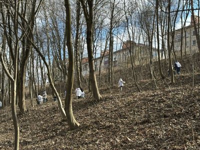благоустрій, берег річки, парк благоустрій, берег річки, парк