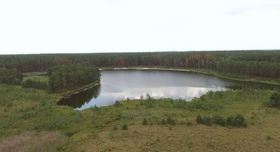 "Щось зробити, щоб його врятувати, на даний момент неможливо": висохло найбільше озеро Хмельниччини "Щось зробити, щоб його врятувати, на даний момент неможливо": висохло найбільше озеро Хмельниччини