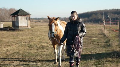 На Вінниччині створили прихисток для коней, евакуйованих із прифронтових територій На Вінниччині створили прихисток для коней, евакуйованих із прифронтових територій