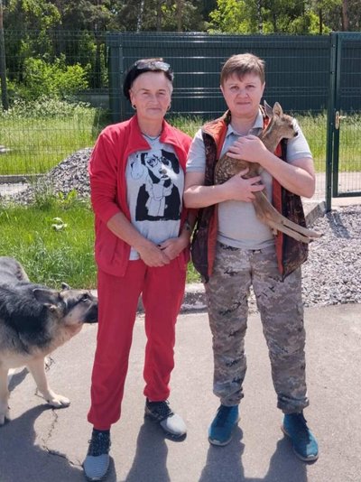 "Знайшли маленьку та розгублену": жителі Миколаївщини врятували косулю