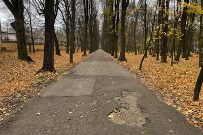 доріжки у парку шевченка в чернівцях доріжки у парку шевченка в чернівцях