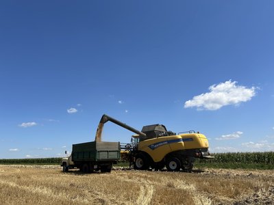 "Упав дрон – загорілось поле з пшеницею": як проходять жнива у прифронтовій Межовій