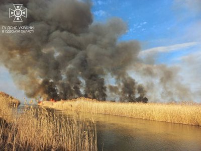 На Одещині за минулу добу горіло майже 13 гектарів рослинності На Одещині за минулу добу горіло майже 13 гектарів рослинності