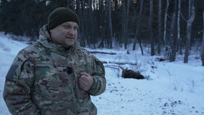 Збили лося на трасі Чернігів – Київ: чому не вдалося врятувати тварину на Чернігівщині Збили лося на трасі Чернігів – Київ: чому не вдалося врятувати тварину на Чернігівщині