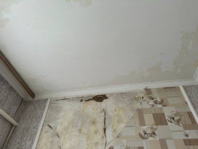 Жителі громади на Житомирщині не отримали виплат за зруйноване житло після обстрілу Жителі громади на Житомирщині не отримали виплат за зруйноване житло після обстрілу