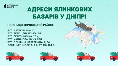 У Дніпрі визначили місця продажу ялинок