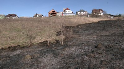 Загорання сухої трави в селі Кругле Загорання сухої трави в селі Кругле