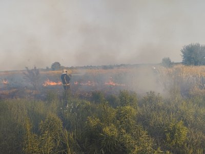 За добу на Волині сталося 23 пожежі в екосистемах. Є загиблий За добу на Волині сталося 23 пожежі в екосистемах. Є загиблий