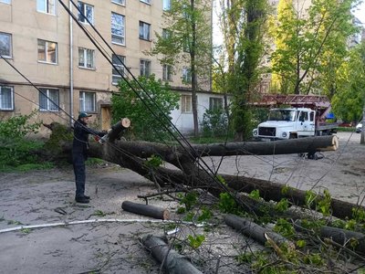Штормовий вітер повалив 85 дерев в Одесі Штормовий вітер повалив 85 дерев в Одесі