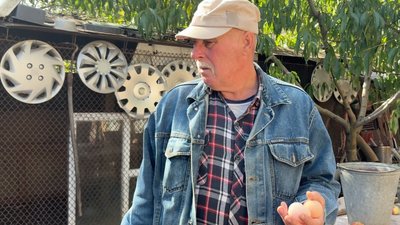 «Линяють й не несуться»: чому здорожчали яйця на Черкащині «Линяють й не несуться»: чому здорожчали яйця на Черкащині