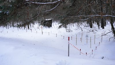 Розмінування на Чернігівщині: які території досі заміновані та чим вони небезпечні Розмінування на Чернігівщині: які території досі заміновані та чим вони небезпечні
