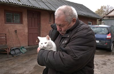 В громаді на Волині ветеринари подвірно щеплювали тварин від сказу В громаді на Волині ветеринари подвірно щеплювали тварин від сказу