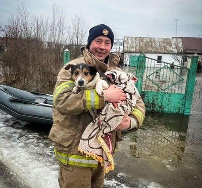На Харківщині рятувальники на човні евакуювали собаку з підтопленого подвір'я На Харківщині рятувальники на човні евакуювали собаку з підтопленого подвір'я