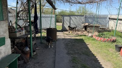 Розкішне Іллінівська громада Донецька область 21 квітня 2025 рік Розкішне Іллінівська громада Донецька область 21 квітня 2025 рік