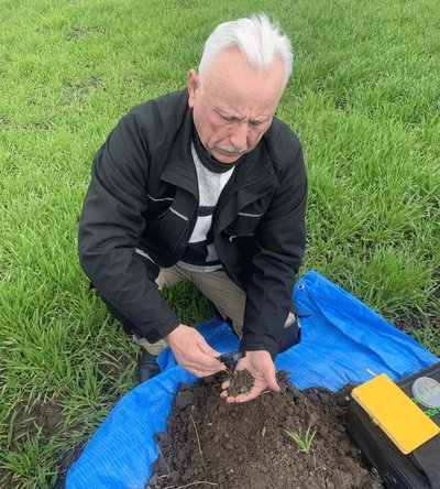 Держпродспоживслужба, поле, озимина, перезимівля шкідників Держпродспоживслужба, поле, озимина, перезимівля шкідників