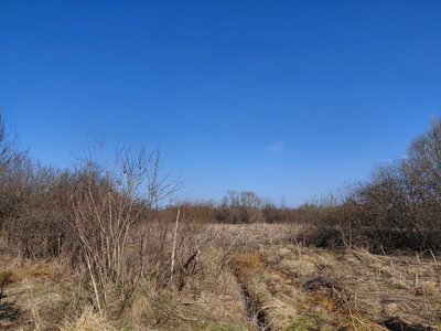 Розвиток родовищ калійної солі на Львівщині: що відомо Розвиток родовищ калійної солі на Львівщині: що відомо