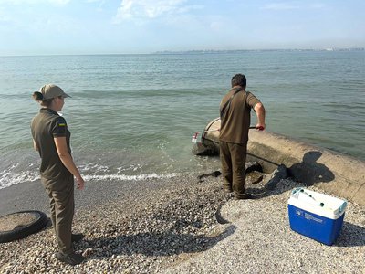 Забруднення моря у Крижанівці на Одещині: що виявили під час повторної перевірки Забруднення моря у Крижанівці на Одещині: що виявили під час повторної перевірки
