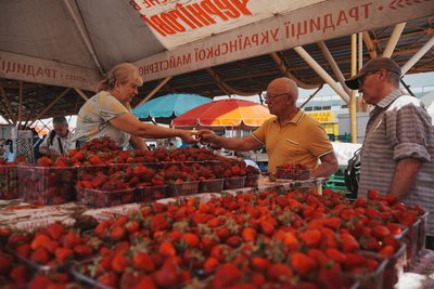 Полуниця Харків Полуниця Харків