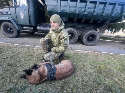 На Львівщині службових собак навчають розміновувати території