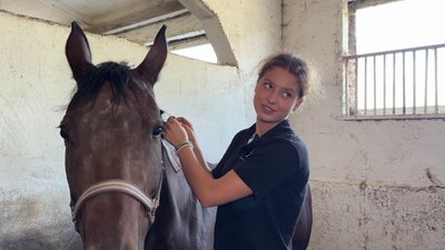 У Сумах розіграли відкритий кубок області з кінного спорту У Сумах розіграли відкритий кубок області з кінного спорту
