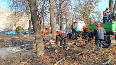 У Полтаві за рік спиляли понад 1700 аварійних дерев: у скільки це обійшлося У Полтаві за рік спиляли понад 1700 аварійних дерев: у скільки це обійшлося