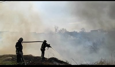 На Одещині через спалення сухої трави згорів гектар зелених насаджень На Одещині через спалення сухої трави згорів гектар зелених насаджень