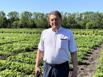 "Ціни трохи кусаються": вартість полуниці в Сумах та коли чекати здешевлення "Ціни трохи кусаються": вартість полуниці в Сумах та коли чекати здешевлення
