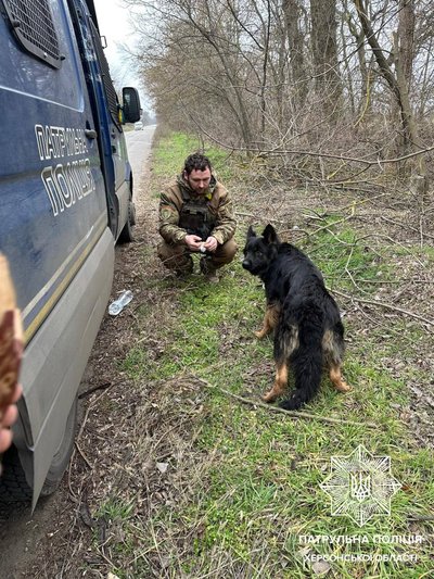 Херсон, патрульна поліція, собака, вівчарка Херсон, патрульна поліція, собака, вівчарка