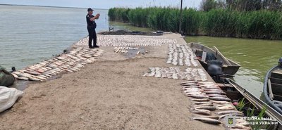 На Одещині затримали браконьєрів з уловом на понад 2,5 мільйона гривень На Одещині затримали браконьєрів з уловом на понад 2,5 мільйона гривень