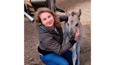 Збили лося на трасі Чернігів – Київ: чому не вдалося врятувати тварину на Чернігівщині Збили лося на трасі Чернігів – Київ: чому не вдалося врятувати тварину на Чернігівщині
