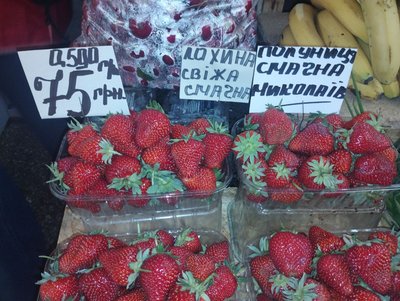 Сезон полуниці у Кропивницькому: яка ціна нині і яку прогнозують далі Сезон полуниці у Кропивницькому: яка ціна нині і яку прогнозують далі