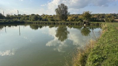 Підприємства, які вирощують прісноводну рибу, можуть отримати компенсацію від держави: які умови й терміни виплат Підприємства, які вирощують прісноводну рибу, можуть отримати компенсацію від держави: які умови й терміни виплат