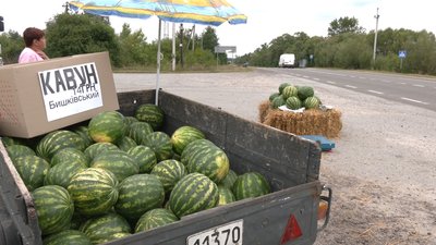 Місце продажу кавунів від херсонського фермера Місце продажу кавунів від херсонського фермера